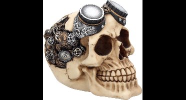 Nemesis Now - Schedels - Schedel met Veiligheidsbril - Beeld - Beige - 15cm