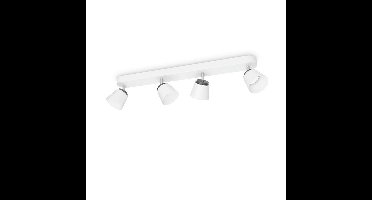 Philips myLiving Dender white LED Spot light