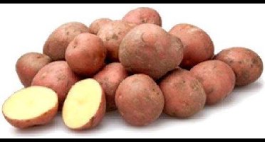 Bildtstar Pootaadappel