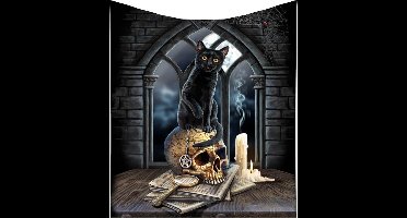 Fleece deken - Spirits of Salem - Lisa Parker