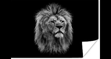 Poster Leeuw - Profiel - Zwart - Wit - 30x20 cm