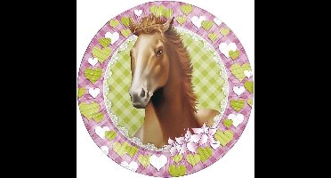 Paarden themafeest wegwerpbordjes - 32x - 23 cm - Paarden thema kinderfeestje versieringen/decoraties