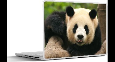 Laptop sticker - 13.3 inch - Dieren - Panda - Bomen - 31x22,5cm - Laptopstickers - Laptop skin - Cover