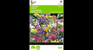 2 stuks - Buzzy - Statice sinuata Pacific gemengd