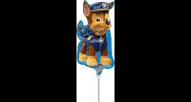 RIETHMULLER - Kleine aluminium ballon Paw Patrol