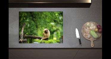 Inductieplaat Beschermer - Bruine Slinger Aap zittend op Bruine Tak kijkend naar Rechts - 71x52 cm - 2 mm Dik - Inductie Beschermer - Bescherming Inductiekookplaat - Kookplaat Beschermer van Zwart Vinyl