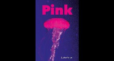 Striders Phonics Readers- Pink (Set 04)