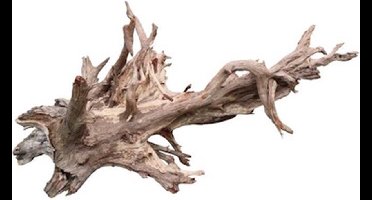 HS Aqua Corbo-Root eucalyptus aquariumhout | pH-verlagend XL - 55-80CM