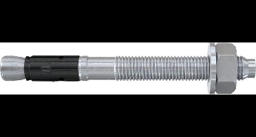 Fischer 564586 FAZ II Plus 12/10 Boutanker 110 mm 12 mm 20 stuk(s)
