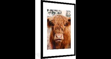 PosterMonkey - Fotolijst - Schotse hooglander - Dieren - Koe - Poster - Poster met kader - Foto in lijst - 80x120 cm - Poster dieren - Poster Schotse hooglander - Wanddecoratie - Posterlijst