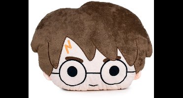 Harry Potter Knuffelkussen Harry Potter 32x32 Cm