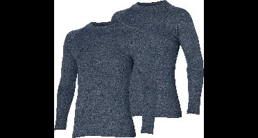 Thermoshirt - Heren - Antraciet - XXL - Set van 2