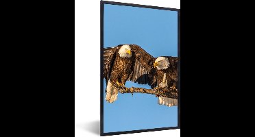 PosterMonkey - Poster - Fotolijst - Vogel - Takken - Arend - Roofvogels - Lucht - 20x30 cm - Poster frame - Foto in lijst - Poster dieren - Poster vogels