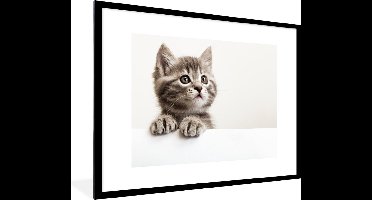 PosterMonkey - Poster - Kat - Grijs - Poes - Kitten - Dieren - Fotolijst - Frame - 80x60 cm - Poster frame - Foto in lijst - Poster kat - Muurdecoratie - Poster lijst