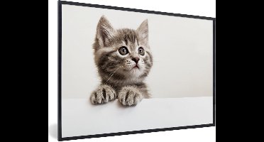 PosterMonkey - Poster - Kat - Grijs - Poes - Kitten - Dieren - Fotolijst - Frame - 120x80 cm - Poster frame - Foto in lijst - Poster kat - Muurdecoratie - Poster lijst