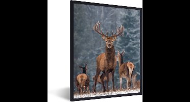 PosterMonkey - Poster - Fotolijst - Hert - Winter - Natuur - Kader - 60x80 cm - Posterlijst - Poster hert - Foto in lijst - Poster dieren - Woonkamer