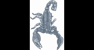 Partychimp Neptatoeage Scorpion 16 Cm Polyester Zwart