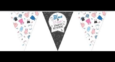 Haza Original Vlaggenlijn Gender Reveal Blauw/roze 10 M