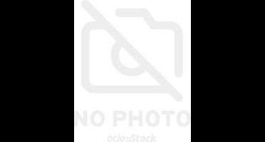 DC Comics Wonder Woman 1984