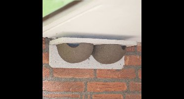 CJ Wildlife Kunstnest voor Huiszwaluw - Aanbevolen door Vogelbescherming - Dubbel Zwaluwnest - Nestkast voor Zwaluw - Vogelhuis van FSC-gecertificeerd Hout