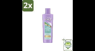 Andrélon – Shampoo – Volume Boost – 250 ml - Voordeelverpakking - 2 stuks - Haar volume - Kokos shampoo