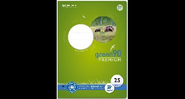 Staufen 040782025 - schrift green, liniatuur 25, DIN A4, 16 vellen, 90 g/m², 9 mm gelinieerd, met rand, 1 stuk