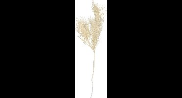 Present Time Arti Cial Tak Asparagus - Wit