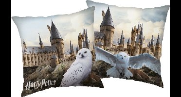 Harry Potter Sierkussen Hedwig - 40 x 40 cm - Polyester