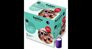 Bolsius - Horeca Relight - Navulling - 64/52 - 80 stuks per verpakking - Paars