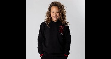 PSG Hoodie Kinderen - Maat 116 t/m 164 - Paris Saint-Germain Trui - Kinder Trui - Officiële Paris Saint-Germain Merchandise