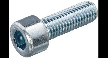 Inbusbout Ck M6x100mm Staal Verzinkt - 100 stuks