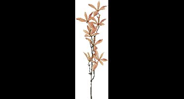 Countryfield Kunstblad Pachira bruin