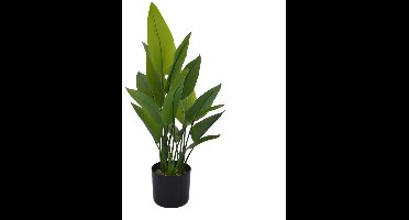 Buitengewoon de boet - Strelitzia 70 cm kunstplant