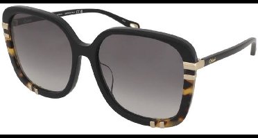 Zonnebrillen Chloe CH0106SA 002