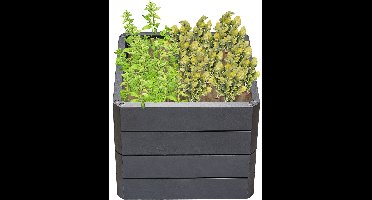 GARANTIA ERGO QUADRO S 50, hoogbed Stone, incl. FLORA waterbesparingssysteem