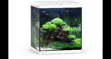 Juwel Aquarium Vio Cube 54 41x36x47 cm - Aquaria - Wit Ca. 54 L
