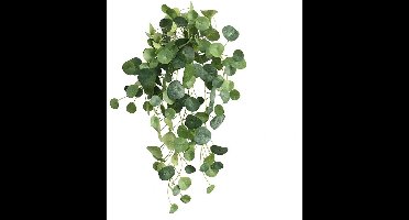 Buitengewoon de boet - Pilea peperomioides 80 cm kunstplant