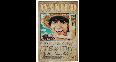 FaNaTtik One Piece Ingot Luffy Wanted Poster Limited Edition Coins