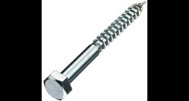 Houtdraadbouten - DIN571 Zeskant - M6 x 75mm - Verzinkt (200 stuks)
