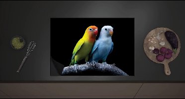 Inductieplaat Beschermer - Oranje-Gele Vogel met Blauwe Vogel op Tak tegen Zwarte Achtergrond - 70x52 cm - 2 mm Dik - Inductie Beschermer met zwarte kern