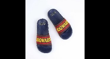 Slippers voor Kinderen Harry Potter Marineblauw Rood