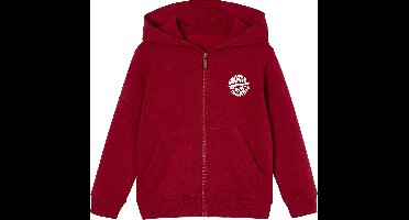 Vertbaudet Jongenssweater met rits en capuchon Basics