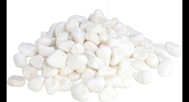 Grote witte planten/decoratie kiezel steentjes/stenen 4400 gram ongeveer 2-4 cm - Decoratie steentjes voor o.a aquarium of bloempot