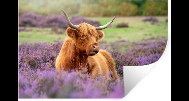 Muurstickers - Sticker Folie - Schotse Hooglander - Bruin - Struiken - 30x20 cm - Plakfolie - Muurstickers Kinderkamer - Zelfklevend Behang - Zelfklevend behangpapier - Stickerfolie