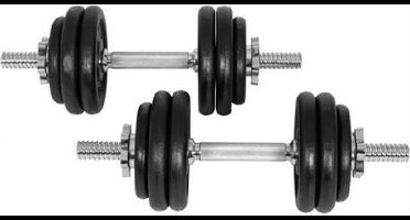 Gyronetics Dumbellset - Halterset - Gietijzer - 30 kg - 25 mm