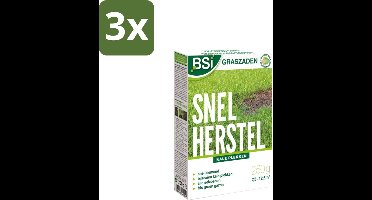 BSI – Graszaad – Snel Herstel – Dicht & Sterk Gazon – 250 g - Bulkverpakking - 3 stuks
