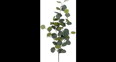 Mica Decorations Kunstplant takken Eucalyptus - H90 cm - lichtgroen - kunststof - bladgroen - siertakken