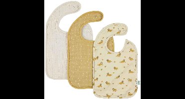 Slab 3-pack mix - Lively Lion