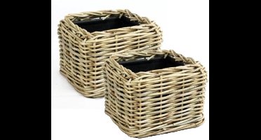 Van Der Leeden Planten/bloemen mand - 2x - vierkant - rotan - gevlochten riet - 25 x 25 x 18 cm - drypot