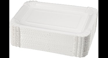 Platte langwerpige borden, afm 20x13 cm, 250 stuk/ 1 doos